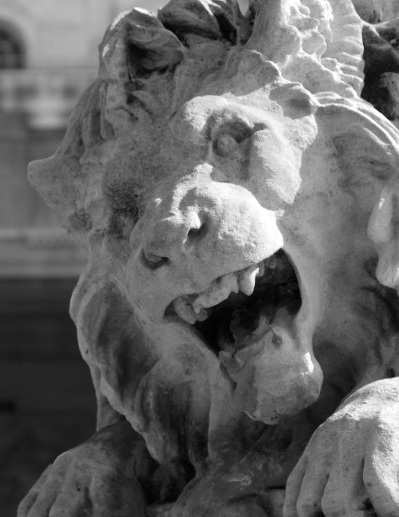 Иллюстрация к книге — В поисках Парижа, или Вечное возвращение [_286_1.jpg]