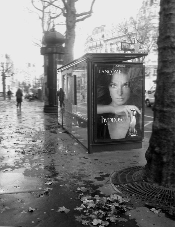 Иллюстрация к книге — В поисках Парижа, или Вечное возвращение [_303_1.jpg]