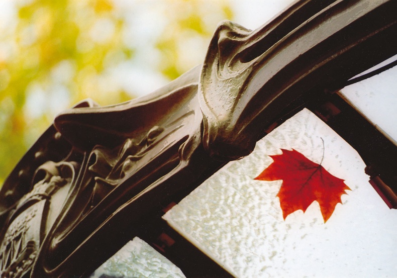 Иллюстрация к книге — Парижские подробности, или Неуловимый Париж [i_102.jpg]