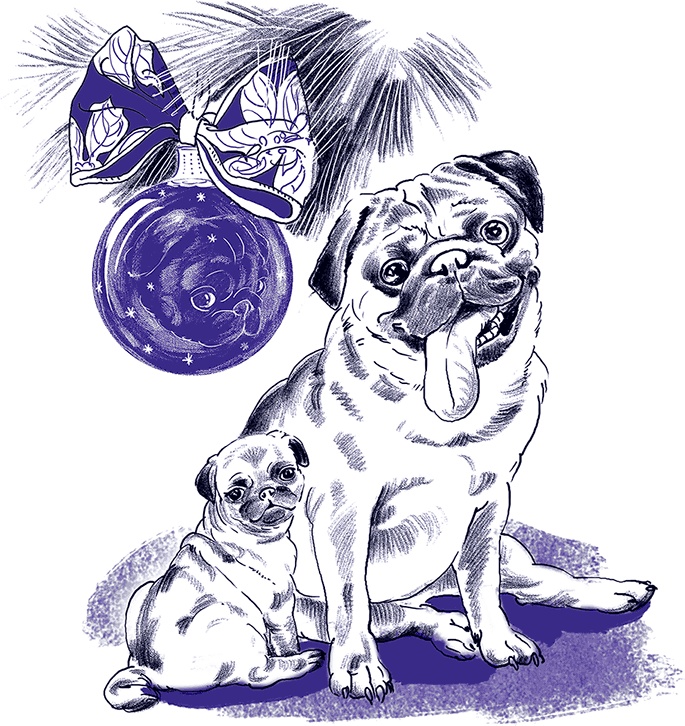 Иллюстрация к книге — Правдивые сказки про собак [i_001.jpg]