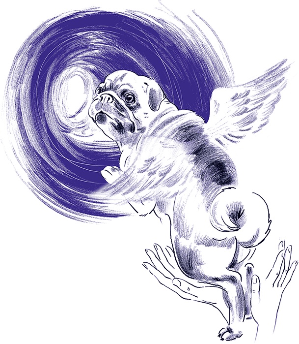 Иллюстрация к книге — Правдивые сказки про собак [i_003.jpg]