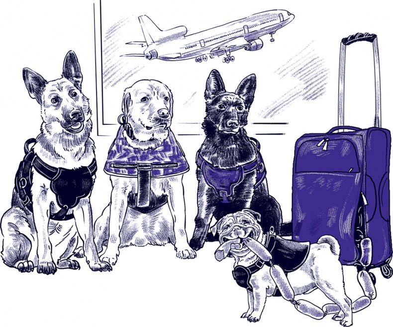 Иллюстрация к книге — Правдивые сказки про собак [i_010.jpg]