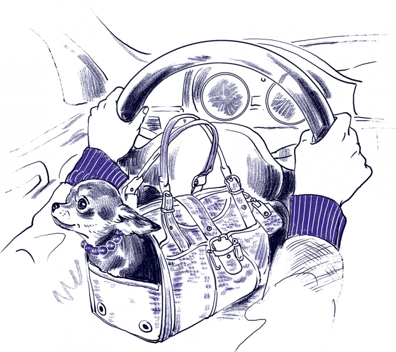 Иллюстрация к книге — Правдивые сказки про собак [i_015.jpg]