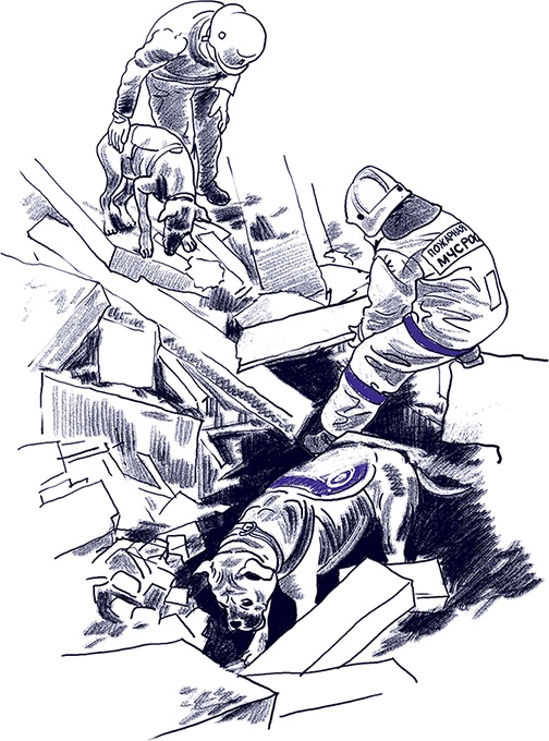 Иллюстрация к книге — Правдивые сказки про собак [i_016.jpg]