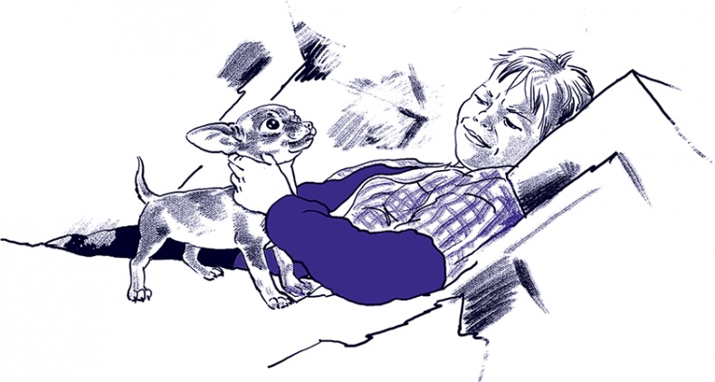 Иллюстрация к книге — Правдивые сказки про собак [i_017.jpg]