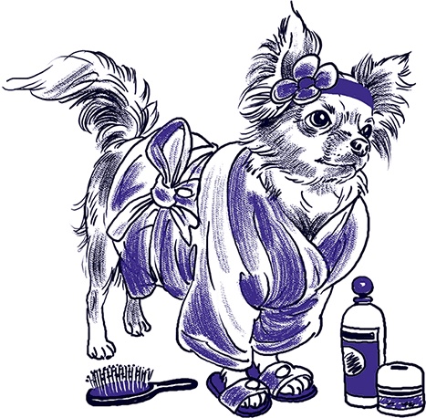 Иллюстрация к книге — Правдивые сказки про собак [i_033.jpg]