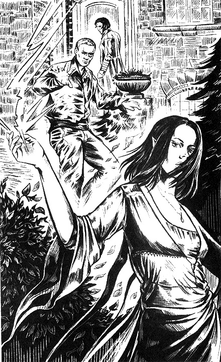 Иллюстрация к книге — Королевские камни [i_001.jpg]