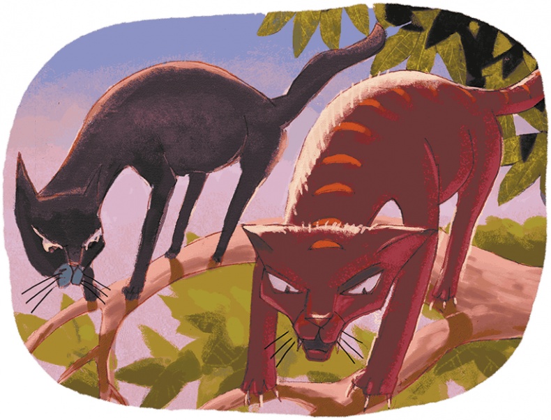 Иллюстрация к книге — Щенок Питер и несгрызаемая кость [i_002.jpg]