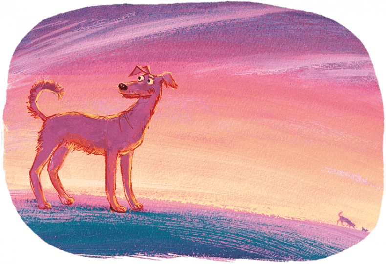 Иллюстрация к книге — Щенок Питер и несгрызаемая кость [i_015.jpg]