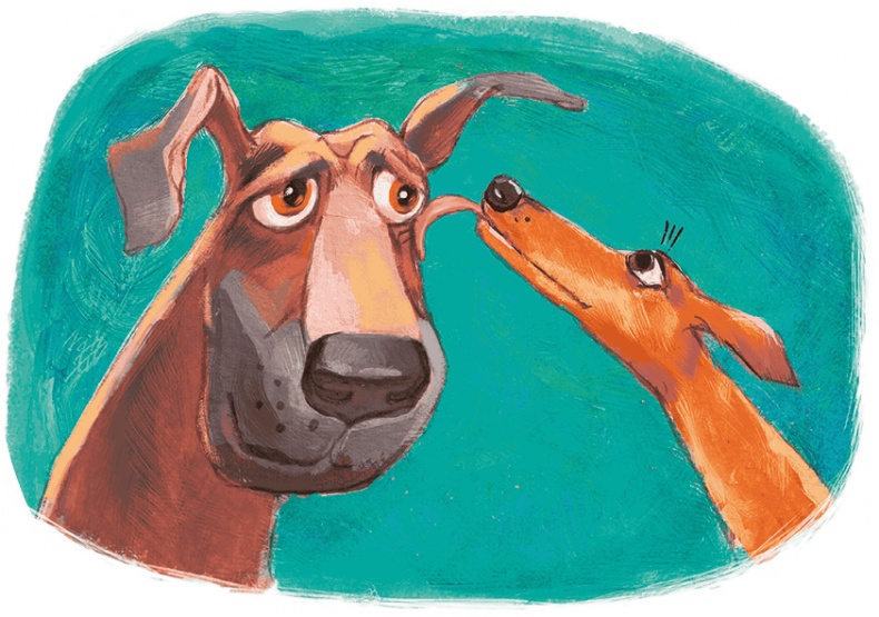 Иллюстрация к книге — Щенок Питер и несгрызаемая кость [i_018.jpg]