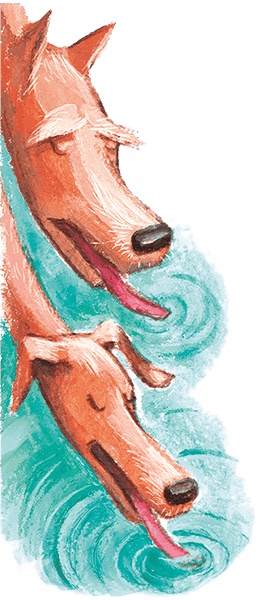 Иллюстрация к книге — Щенок Питер и несгрызаемая кость [i_023.jpg]