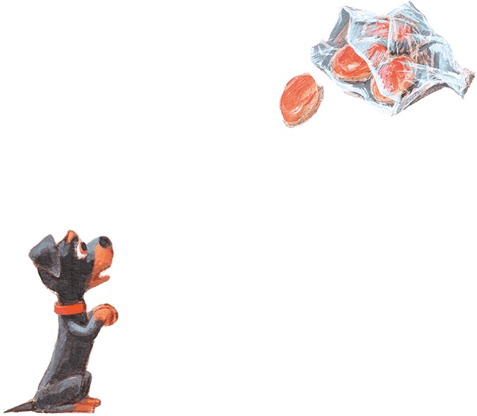 Иллюстрация к книге — Щенок Питер и несгрызаемая кость [i_024.jpg]