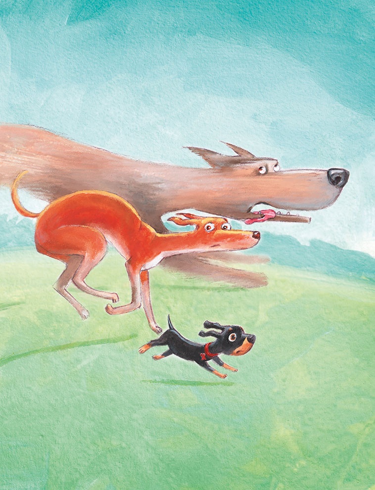 Иллюстрация к книге — Щенок Питер и несгрызаемая кость [i_025.jpg]