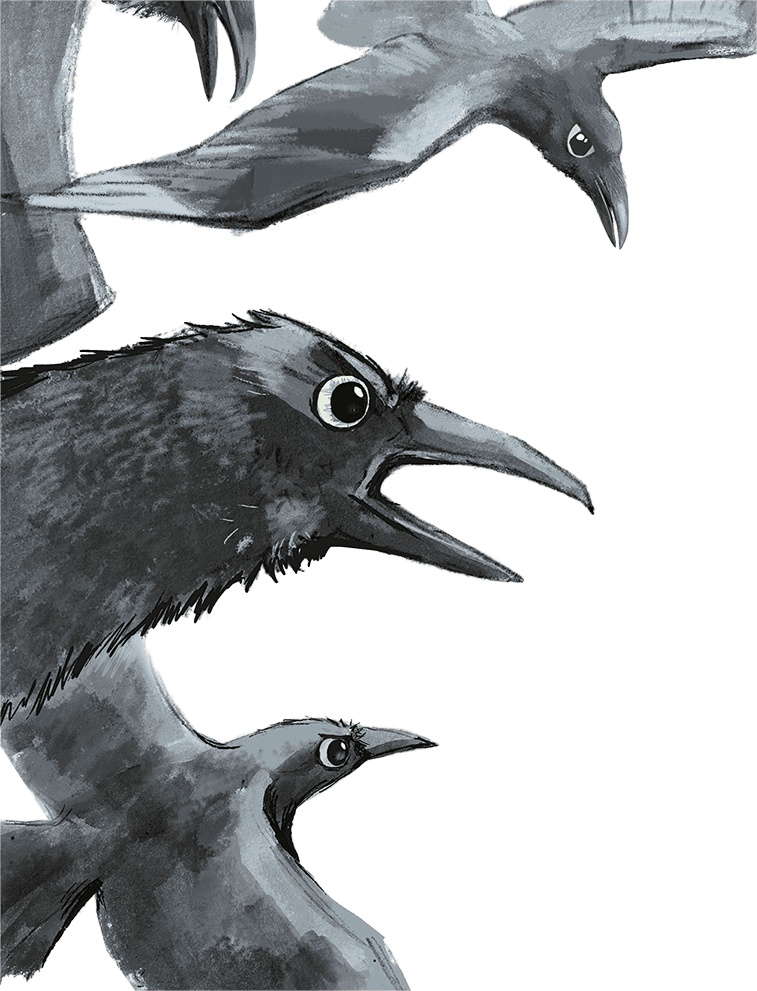 Иллюстрация к книге — Щенок Питер и несгрызаемая кость [i_030.jpg]