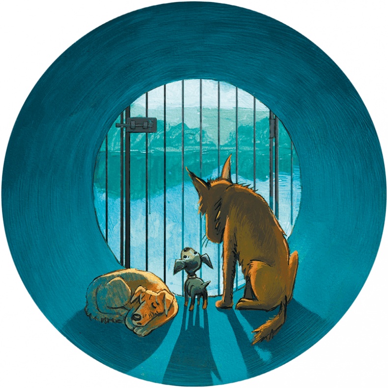 Иллюстрация к книге — Щенок Питер и несгрызаемая кость [i_032.jpg]