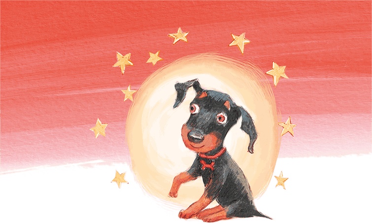 Иллюстрация к книге — Щенок Питер и несгрызаемая кость [i_035.jpg]