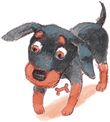 Иллюстрация к книге — Щенок Питер и несгрызаемая кость [i_037.jpg]