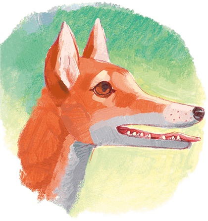 Иллюстрация к книге — Щенок Питер и несгрызаемая кость [i_040.jpg]