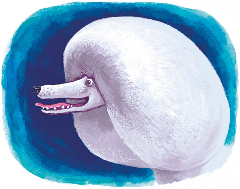 Иллюстрация к книге — Щенок Питер и несгрызаемая кость [i_042.jpg]