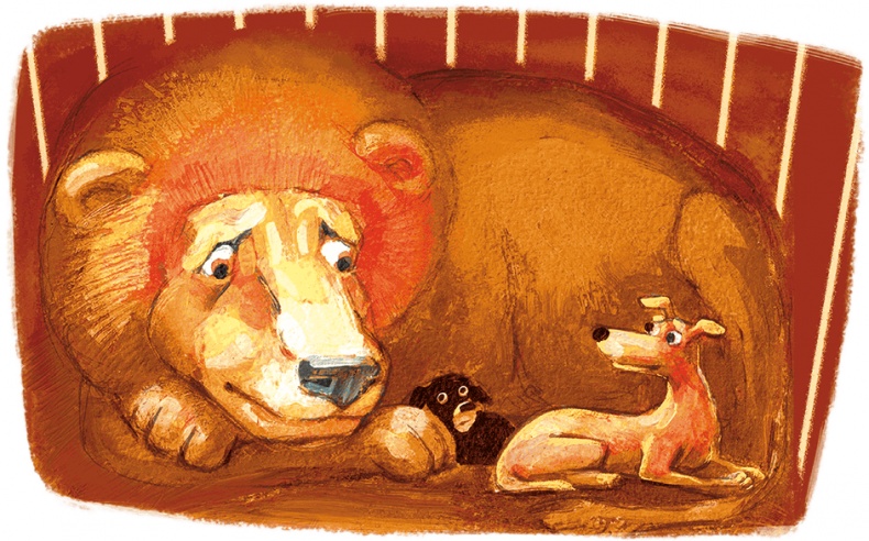 Иллюстрация к книге — Щенок Питер и несгрызаемая кость [i_051.jpg]