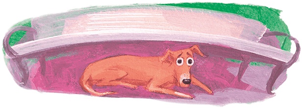 Иллюстрация к книге — Щенок Питер и несгрызаемая кость [i_057.jpg]