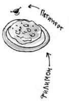 Иллюстрация к книге — Ая эН. Елка, которая пароход [i_006.jpg]