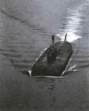 Иллюстрация к книге — АПРК "Курск". 10 лет спустя. Факты и версии [i_005.jpg]