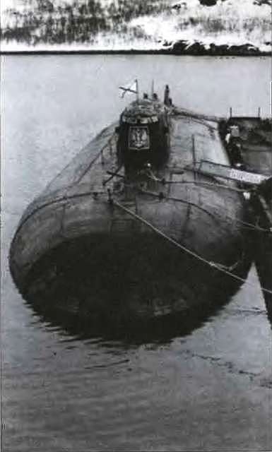 Иллюстрация к книге — АПРК "Курск". 10 лет спустя. Факты и версии [i_006.jpg]