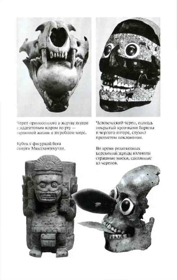 Иллюстрация к книге — Повседневная жизнь ацтеков накануне испанского завоевания [i_013.jpg]
