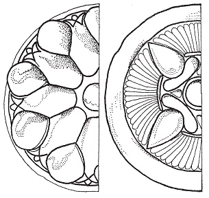 Иллюстрация к книге — Персы и мидяне. Подданные империи Ахеменидов [pic_43.jpg]