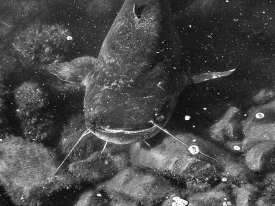 Иллюстрация к книге — Чернобыль. Реальный мир [_07_photo.jpg]