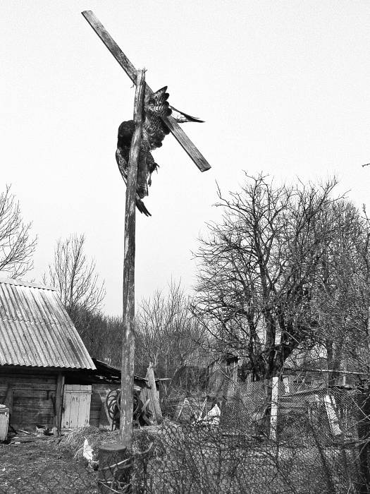 Иллюстрация к книге — Чернобыль. Реальный мир [_08_photo.jpg]