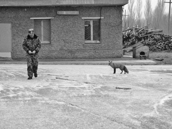 Иллюстрация к книге — Чернобыль. Реальный мир [_25_photo.jpg]