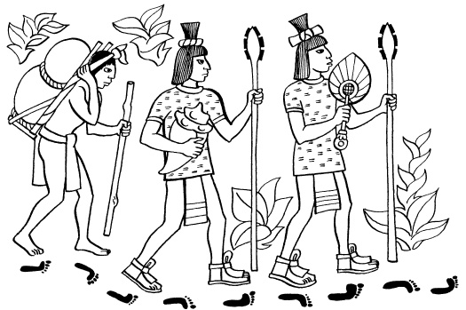 Иллюстрация к книге — Ацтеки, майя, инки. Великие царства древней Америки [i_016.jpg]