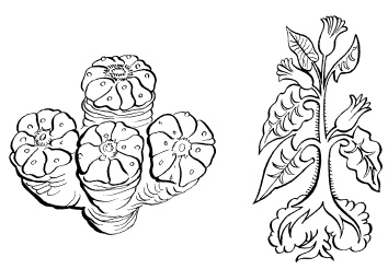 Иллюстрация к книге — Ацтеки, майя, инки. Великие царства древней Америки [i_039.jpg]