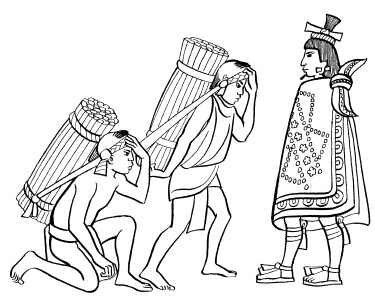 Иллюстрация к книге — Ацтеки, майя, инки. Великие царства древней Америки [i_078.jpg]