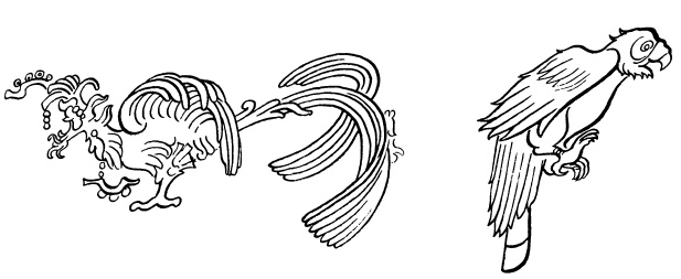 Иллюстрация к книге — Ацтеки, майя, инки. Великие царства древней Америки [i_102.jpg]