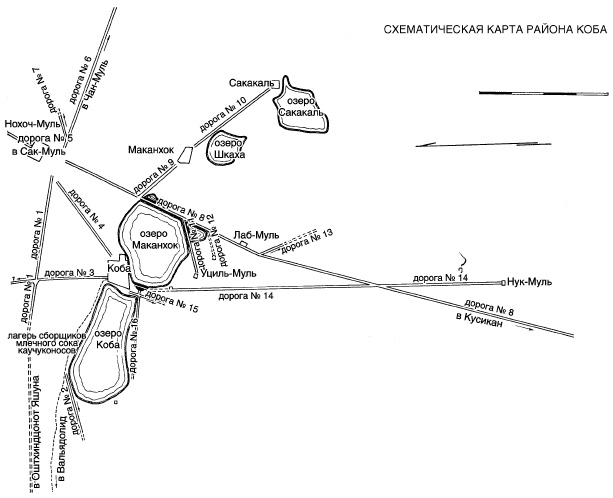 Иллюстрация к книге — Ацтеки, майя, инки. Великие царства древней Америки [i_172.jpg]