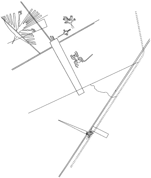 Иллюстрация к книге — Ацтеки, майя, инки. Великие царства древней Америки [i_204.jpg]