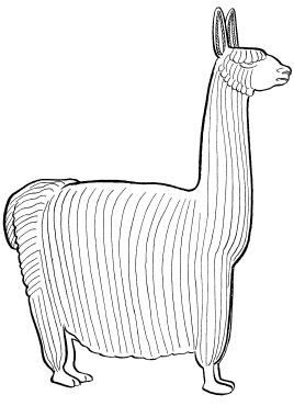 Иллюстрация к книге — Ацтеки, майя, инки. Великие царства древней Америки [i_218.jpg]