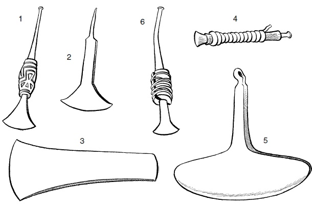Иллюстрация к книге — Ацтеки, майя, инки. Великие царства древней Америки [i_224.jpg]