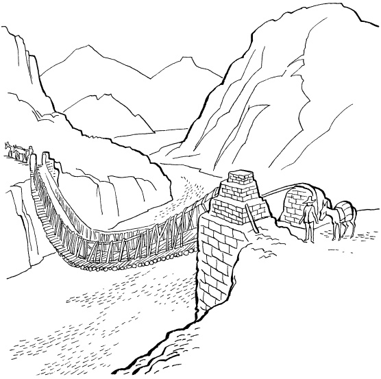 Иллюстрация к книге — Ацтеки, майя, инки. Великие царства древней Америки [i_241.jpg]