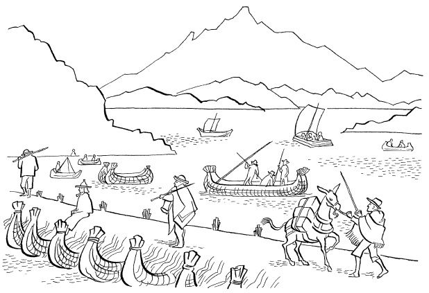 Иллюстрация к книге — Ацтеки, майя, инки. Великие царства древней Америки [i_243.jpg]