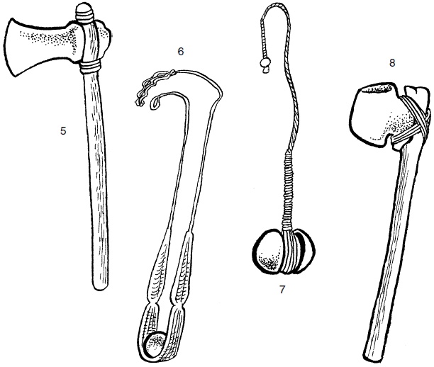 Иллюстрация к книге — Ацтеки, майя, инки. Великие царства древней Америки [i_252.jpg]