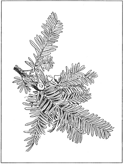 Иллюстрация к книге — Тайны древних бриттов [i_074.jpg]