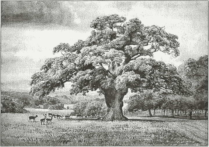 Иллюстрация к книге — Тайны древних бриттов [i_082.jpg]