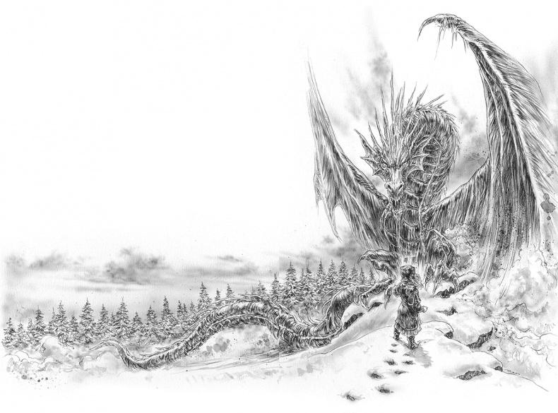 Иллюстрация к книге — Ледяной дракон [i_008.jpg]