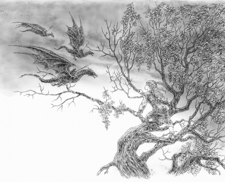 Иллюстрация к книге — Ледяной дракон [i_021.jpg]