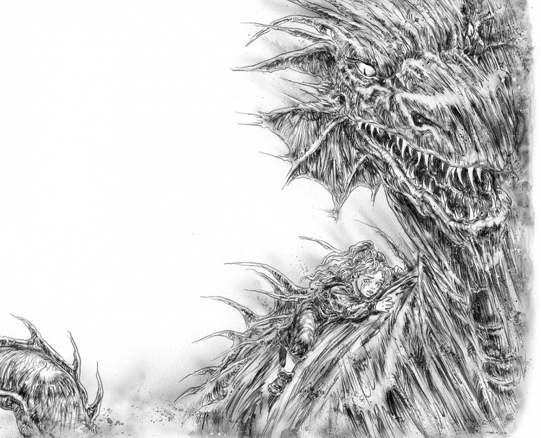 Иллюстрация к книге — Ледяной дракон [i_024.jpg]