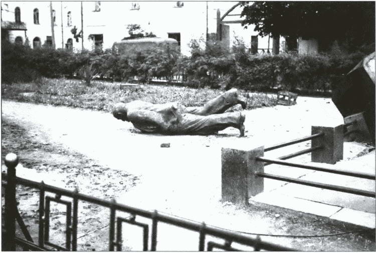 Иллюстрация к книге — Разделяй и властвуй. Нацистская оккупационная политика [i_017.jpg]